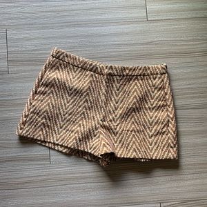 Zara shorts